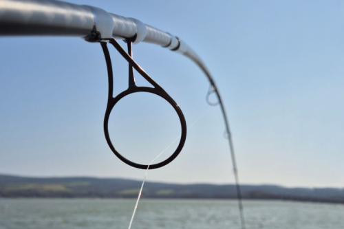  modern� kaprov� pruty s odoln�m blankem